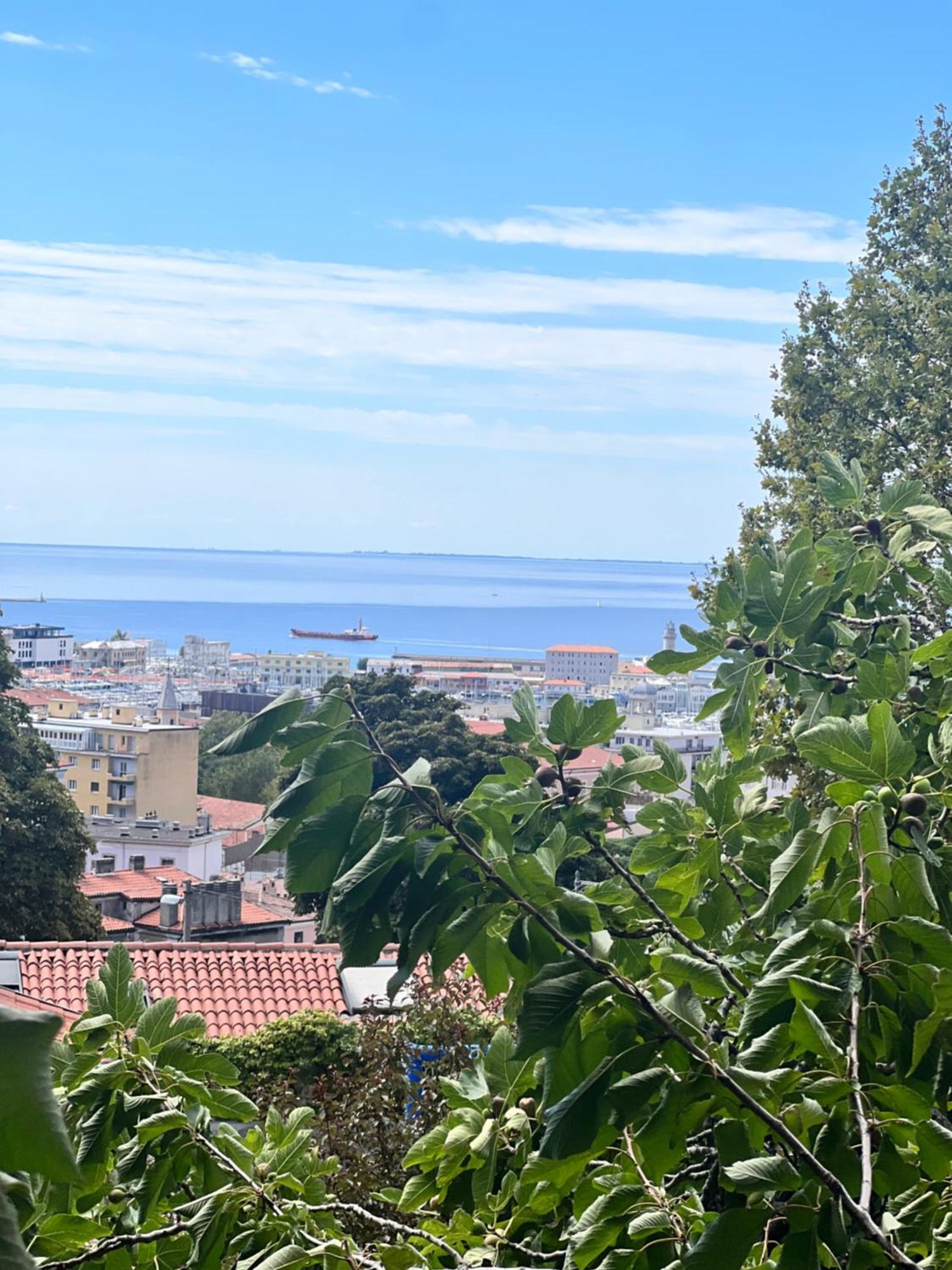 Appartamento Al Castello Trieste Exterior foto